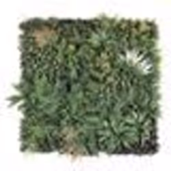 Panneau Végétal Synthétique - NORTENE - Feuillage Luxuriant - Vert - 1x1m
