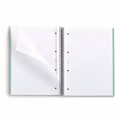 MAUL A609155 bloc-notes A4 80 feuilles Vert