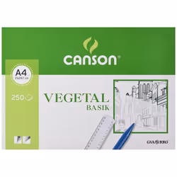 Canson 200406219, papier d'art, 90 g/m², 50 feuilles