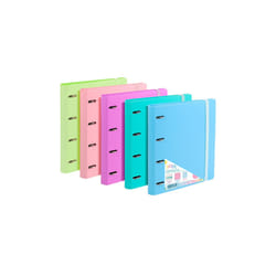 CARCHIVO 12467499 classeur à anneaux A4 Multicolore
