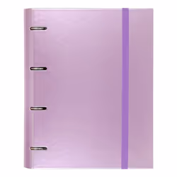 CARCHIVO 12257418, Anneau en D, Rangement, Carton, Métal, Papier, Violet, Brillant, 100 feuilles