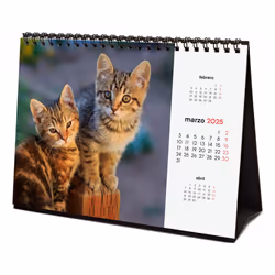 Finocam 780323825 calendrier Table