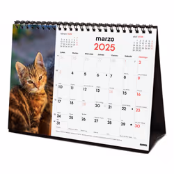 Finocam 780323825 calendrier Table