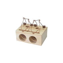 EDM - Petit Piege a Souris 2 Entrees 9.5x6.4x4.1cm (blisters 1 Unit.)