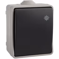 Interrupteur va et vient étanche 10AX 250V~ IP54. Montage en surface. Fabriqué en plastique de haute qualité , cet interrupte ...