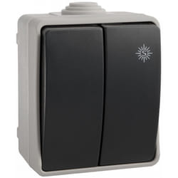 Solera - 3313 Double Interrupteur va et vient étanche IP54, certifié nf - Montage en surface