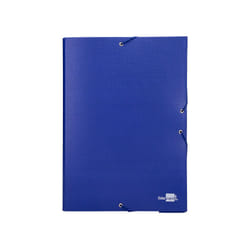 Liderpapel PY51 fichier Carton, PVC Bleu