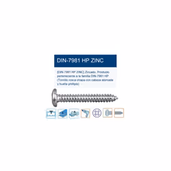 Vis à tête plate DIN 7981HP, dimensions 24,8x6010x2,1, idéale pour les applications qui nécessitent une finition esthétique e ...