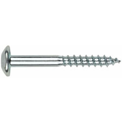 Index - Boite de 100 - Vis inviolable - Empreinte Torx- Zinguée 7 x 50 mm