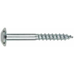 Boite de 100 - Vis inviolable - Empreinte Torx- Zinguée 7 x 70 mm