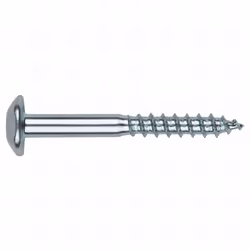 Vis à bois inviolable. Empreinte : Torx 40. Dimensions : 6 x 40 mm. Revêtement : Zingué. Produit homologué CE. Utilisation su ...