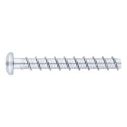 Vis a béton avec recouvrement zingué - Homologué ETE Opt.1 - Tête bombée Ø5 x 60 - Boite de 100