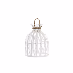 Fijalo Meti_LA180779, Blanc