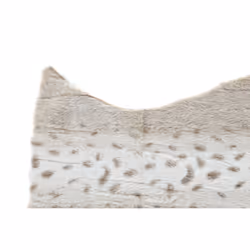 Fijalo Meti_TX186042 Polyester