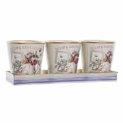 Fijalo Meti_LD194560, Rose, 380 mm, 130 mm, 140 mm