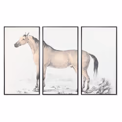Fijalo Meti_CU201375, 1800 mm, 40 mm, 1200 mm