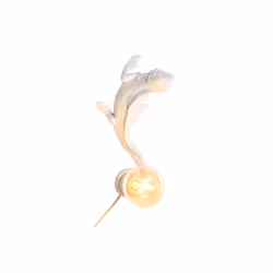 Fijalo Meti_LA203247, Blanc