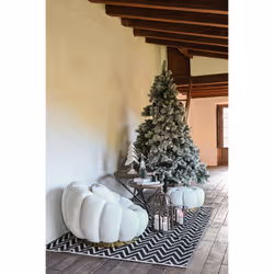 Fijalo Meti_TX205268 Coton