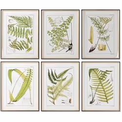 Home ESPRIT Cadre Moderne Fougère 50 x 2,5 x 65 cm (6 Unités)