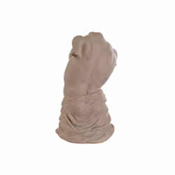 Fijalo Meti_FD212849 statue et figurine décorative Marron Résine