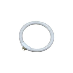EDM Tube fluorescent 30287 Rechange Circulaire T4 Blanc 12 W (6500 K)