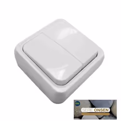 Double Interrupteur Surface ONSEN (SAC Blister)