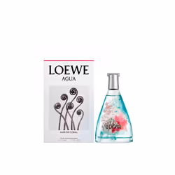 LOEWE Perfumes Agua de Mar de Coral Classic Eau De Toilette 50ml