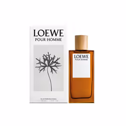 LOEWE Perfumes Pour Homme EDT Hommes 100ml