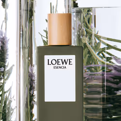 Esencia eau de toilette vaporisateur 100 ml - Vue supplémentaire 4