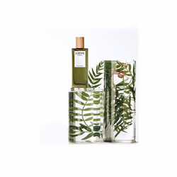 LOEWE Perfumes Esencia 100ml Hommes - Vue supplémentaire 4