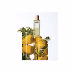 LOEWE Perfumes Aire Eau De Toilette 30ml - Vue supplémentaire 4