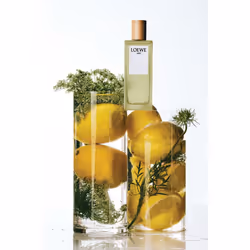 LOEWE Perfumes Aire - Vue supplémentaire 4