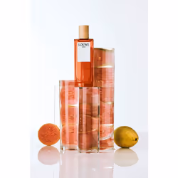 LOEWE Perfumes Solo Hommes 100ml - Vue supplémentaire 4