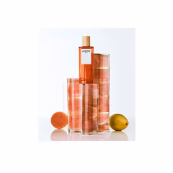 LOEWE Perfumes Solo Hommes 150ml - Vue supplémentaire 4