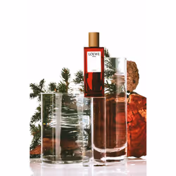 LOEWE Perfumes Solo Cedro Hommes 100ml - Vue supplémentaire 4