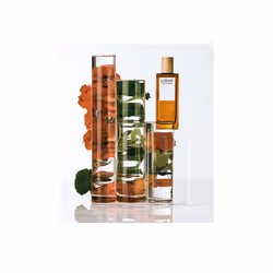 LOEWE Perfumes Pour Homme Hommes 150ml - Vue supplémentaire 4