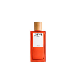 LOEWE Perfumes Solo Atlas 100ml Hommes