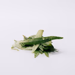 Esencia eau de parfum vaporisateur 150 ml