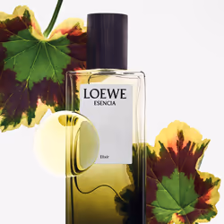 Elixir Essence eau de parfum vaporisateur 50 ml - Vue supplémentaire 4