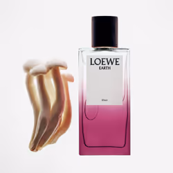 Élixir De Terre eau de parfum vaporisateur 100 ml - Vue supplémentaire 4