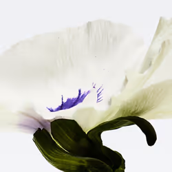 Goutte D’EAU eau de parfum vaporisateur