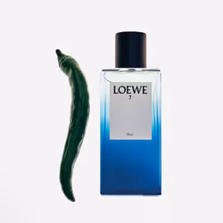 Loewe 7 Elixir eau de parfum vaporisateur 50 ml - Vue supplémentaire 4