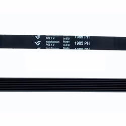 Courroie Machine À Laver Bauknecht Ocean 1985 H-8 Rainurée. Experts en pièces détachées pour appareils électroménagers