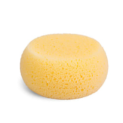 éponge hydrophile