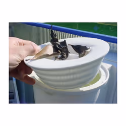 Filtre pour skimmer - lot de 10 chaussettes Filtres pour skimmer - Compatibles tous les paniers à skimmer jusqu'à Ø24 cm A pl ...