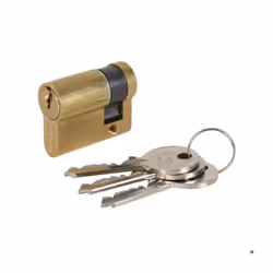 GENERIQUE - Cylindre Logo Std 30x30 Came Courte 08010.07.0.Lc Cisa - CISA