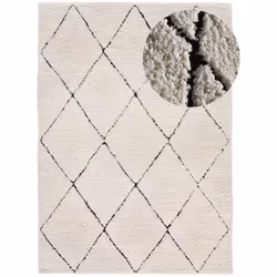 Tapis intérieur crème rectangulaire shaggy ATESA