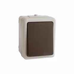 Caractéristiques communes Intensité maximale 10A/250V~ Indice de protection IP54 Versions Réf. Tapez 36,526/DI double interru ...