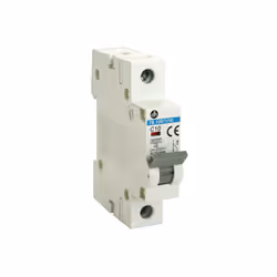 Disjoncteur magnétothermique (MCB). Convient pour la protection des circuits domestiques et le contrôle des appareils contre  ...