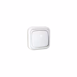 Interrupteur de surface. Caractéristiques Type revirement Couleur blanc Intensité maximale 10A/250V~~ 10A/250V~ 10A/250V~ 10A ...